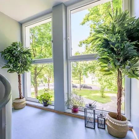 Eg Mitte Schone 70m² Grosse 2-zimmer Nahe Salzburg Mit Zugang Zum Garten 公寓 *